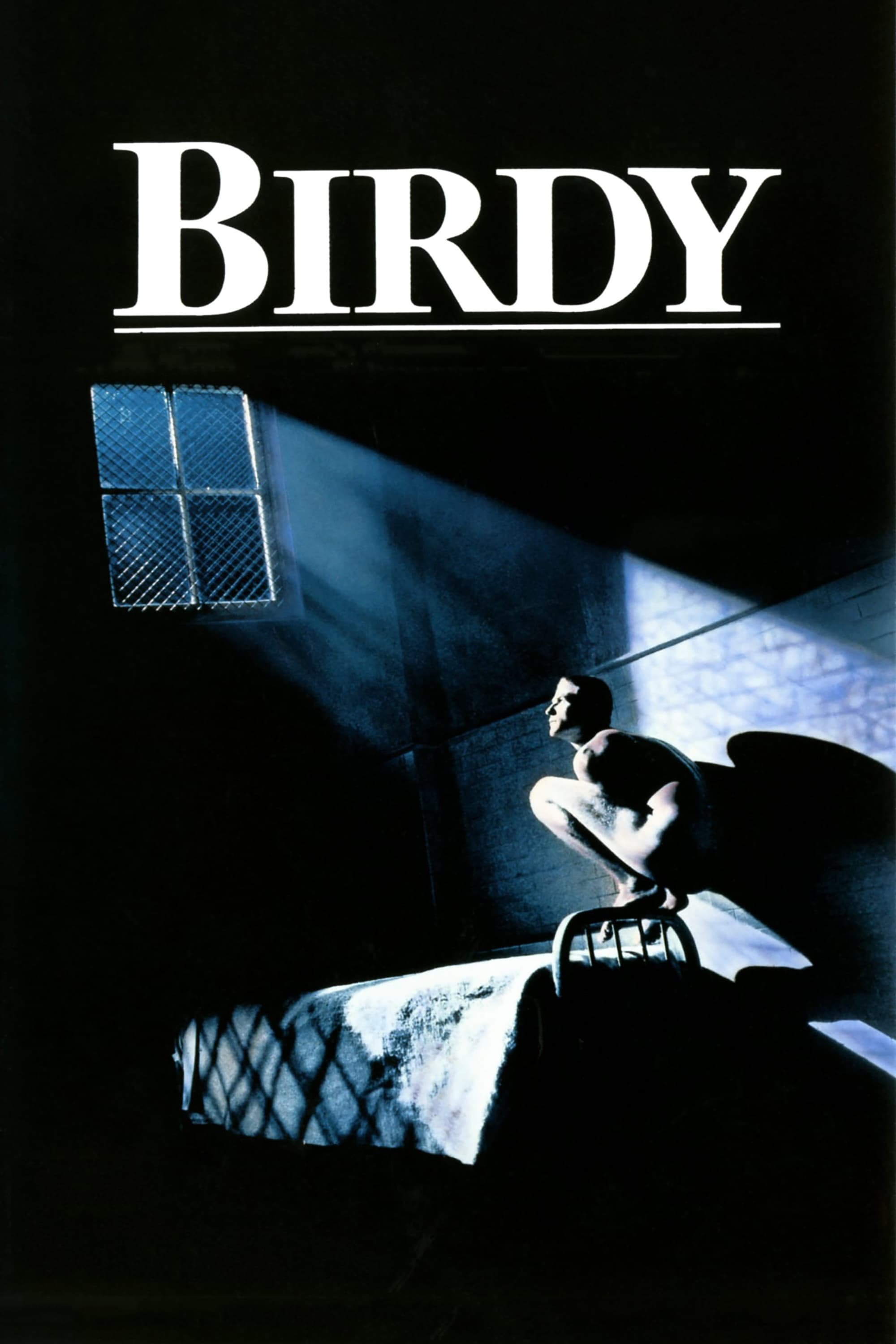 战争片《鸟人》（1984）